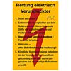 Rettung elektrisch Verunglückter