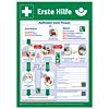 Anleitung zur Ersten Hilfe 